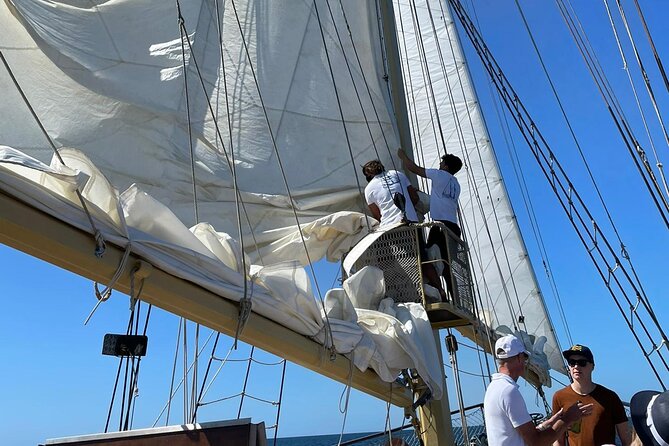 3 Hour Cruise Experience From Vilamoura - Positive Experiences Noted by Reviewers