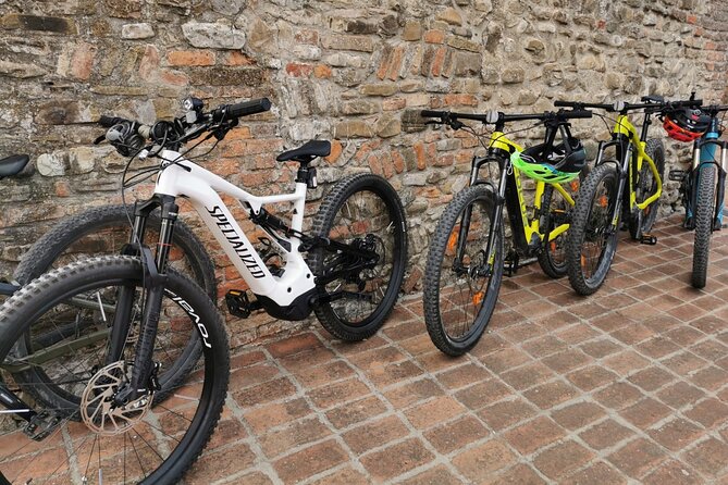 3 Hour E-Bike Tour With Parmesan and Balsamic Vinegar - Bike Specifications and Safety