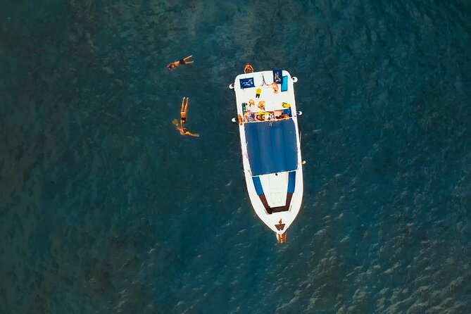 3-Hour Excursion to Puerto Colón Adeje to See Whales - Tour Capacity and Participation