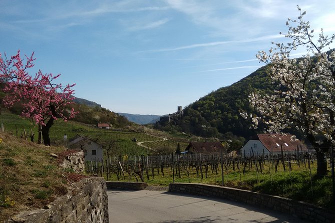 3-Hour Private Hiking Tour to Historic Places Around Spitz in Wachau Valley - Pickup and Drop-off Logistics