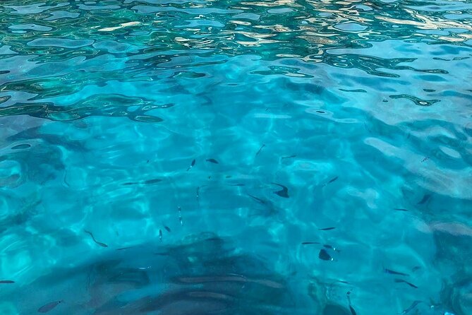 3 Hour Shared Cinque Terre Tour + Swim Stops at Secluded Beaches - Inclusions and Details