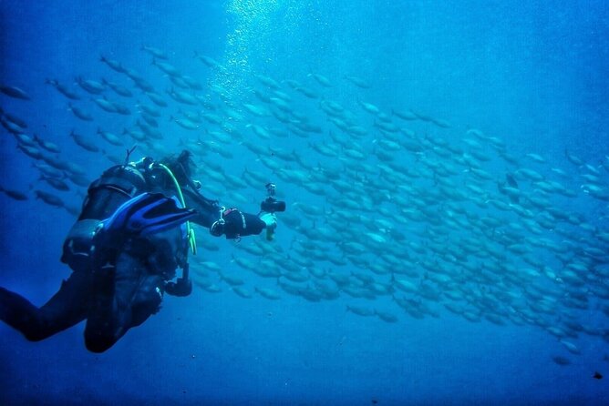 3-Hour Try Scuba Private Guided Sea Baptism From Palermo - Inclusions and Accessibility