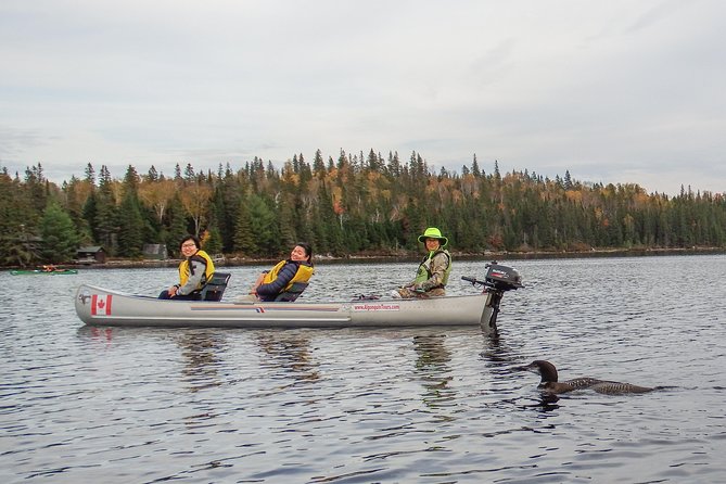 3 Hour VIP Electric Canoe Photography Tour (Private, Price Is for 2 People) - Meeting and Pickup Information