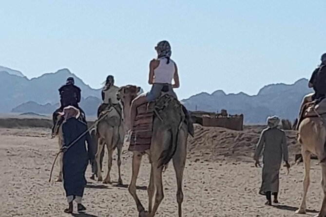 3 Hours Dessert Quad Safari Hurghada - Pickup and Health Details