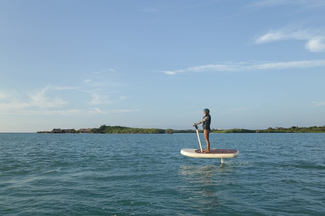 30 Minutes Cartagena Efoil FliteScooter Experience in Baru - What to Expect