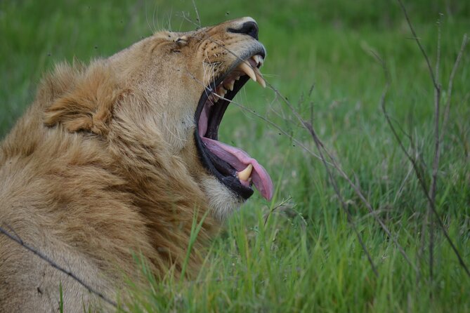 3DAYS Safari to Tarangire Ngorongoro and Manyara Lodge Safari - Highlights of Tarangire National Park