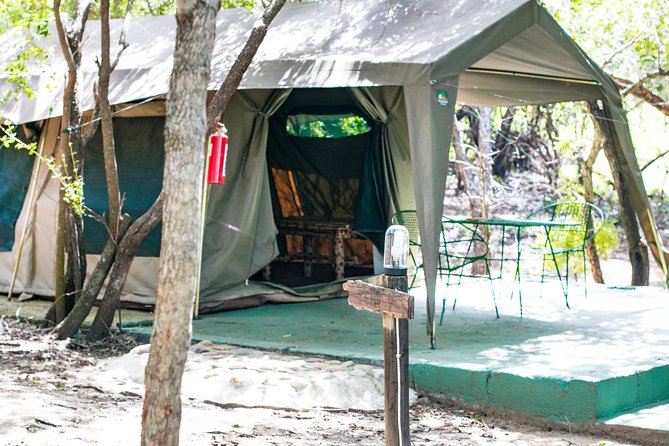 4 Day Budget Kruger National Park Safari - Accommodation Options