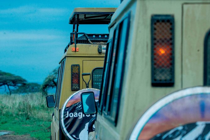 4-Day Group Joining Safari in Tanzania | Shared Safari - Meeting and Pickup