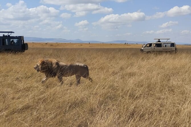 4-Day Masai Mara, L Naivasha and L Nakuru Safari - Destinations Explored