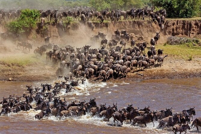 4-Day Private Tour in Masai Mara - Accommodation and Meals
