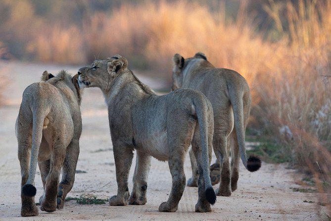 4-Day Safari: Lake Manyara, Serengeti & Ngorongoro - Accommodation and Meals