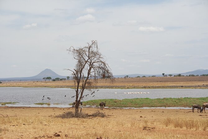 4-Day Shared Safari Tour With Complete Meals - Itinerary Overview