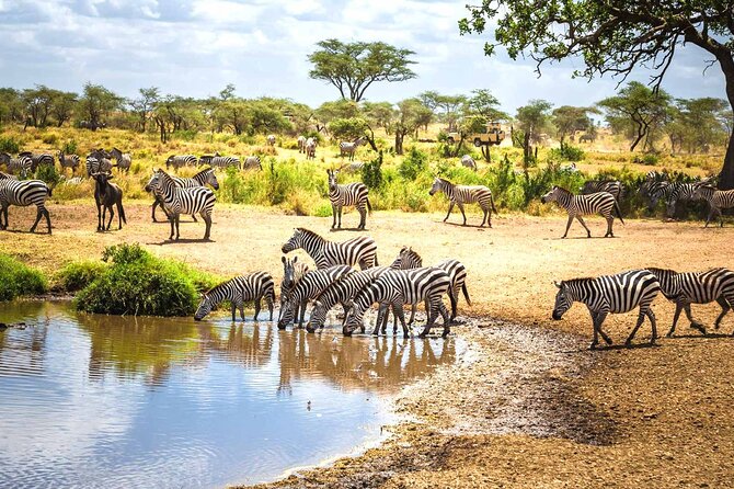 4-Day Small-Group Safari in Tarangire, Ngorongoro and Serengeti - Day-by-Day Itinerary