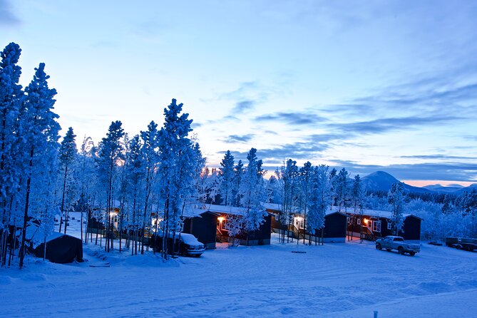 4 Day Tour in Aurora Cabin From Whitehorse - Inclusions
