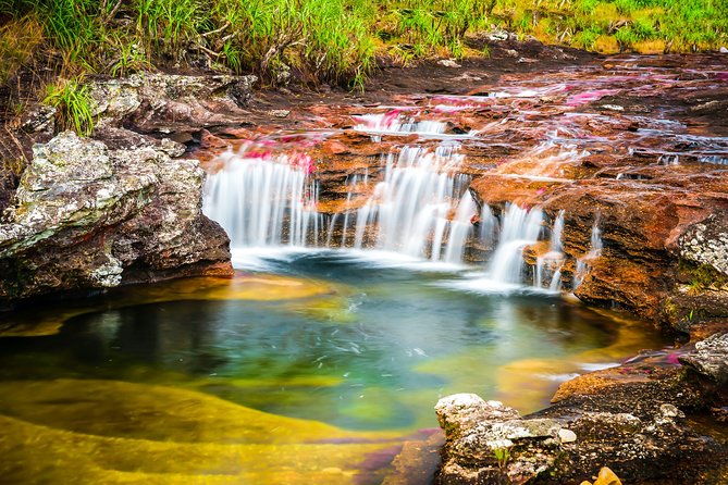 4-Day Trip to Caño Cristales (the River of Many Colors) and the Jungle - Inclusions and Exclusions