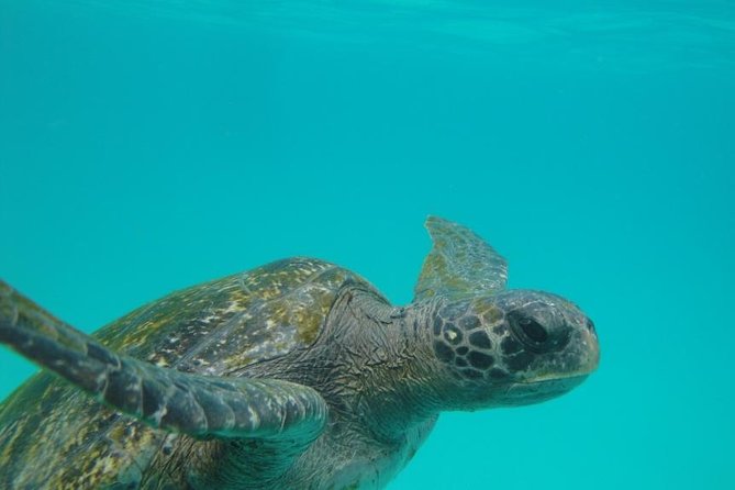 4 Days Galapagos Land Tour - Visiting San Cristobal Island - Inclusions and Exclusions