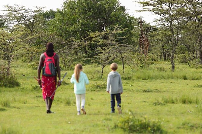 4 Days Lodge Safari Tarangire , Ngorongoro Crater & Walking - Pickup and Meeting Details