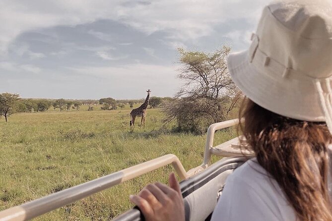 4 Days Masai Mara and Lake Nakuru Mid-Luxury Safari - Pickup and Schedule