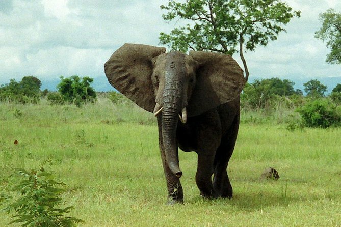 4 Days Mikumi & Udzungwa National Parks Safari - Meal Plan Details