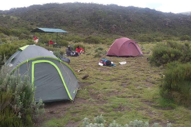 4 Days Mt Kenya Climb, Chogoria Route up and Out Sirimon Route - Transportation and Pickup