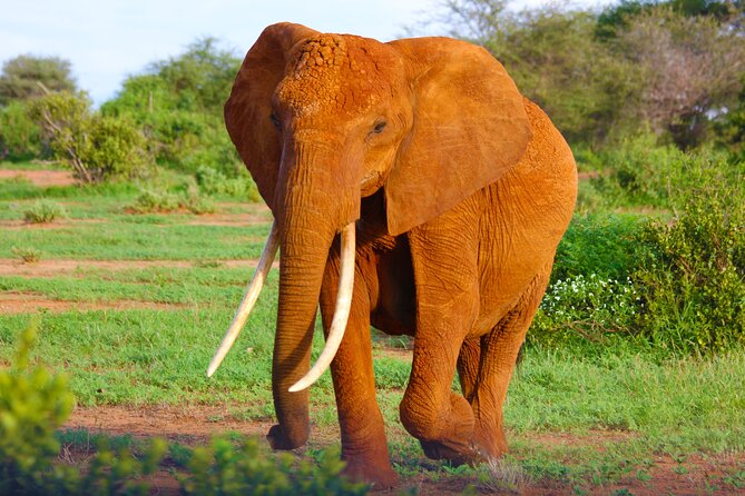 4 Days Tanzania Budget Group Join Safari- Serengeti & Ngorongoro - Discovering the Ngorongoro Crater