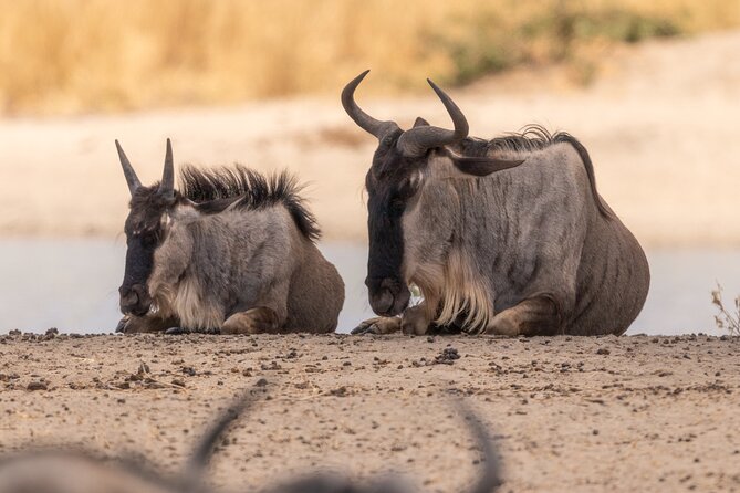 4 Days Tanzania Budget Safari - Included Services