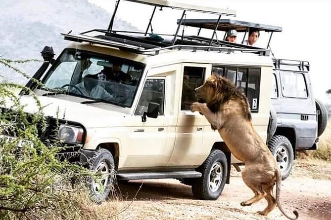 4 Days Tarangire,Serengeti & Ngorongoro Crater Budget Lodge Safari Tour Tanzania - Meal Inclusions