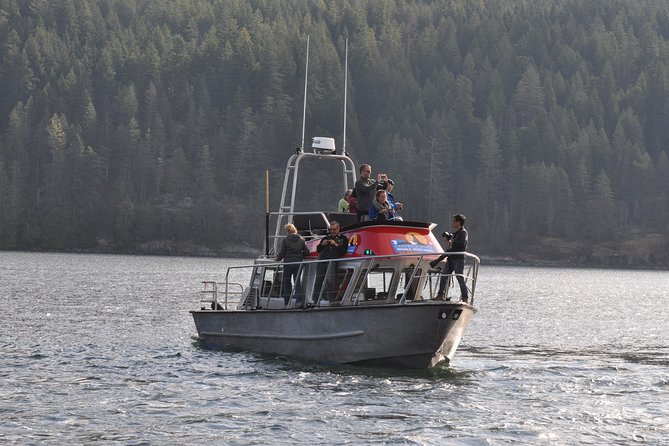 4 Hour Covered Boat Whale and Wildlife Tour - Comfort and Amenities