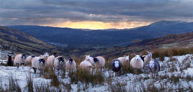 4 Hour Private Lake District Tour (Tour B) - Tour Features