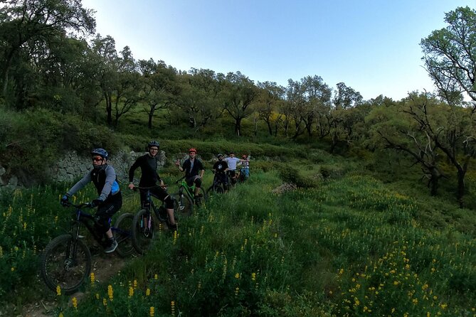 4 Hour Private MTB Enduro Trail Tour in Sintra Mountain - Customer Rating and Reviews