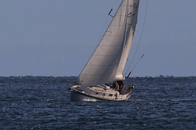 4-Hour Sailing Adventure on the Strait of Juan De Fuca - Whale-Watching Cruise