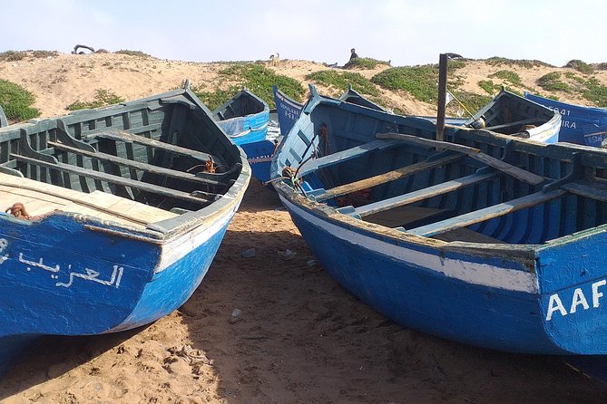 4 Hours.Agadir : Trip to Sahara and Tifnit Fishing Village - Visiting Tifnit Fishing Village