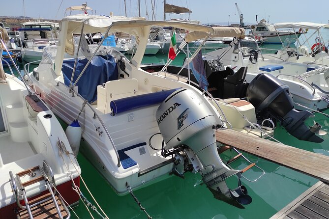4 Hours Dolphin Watching Tour in Porto Empedocle - Health and Safety Considerations