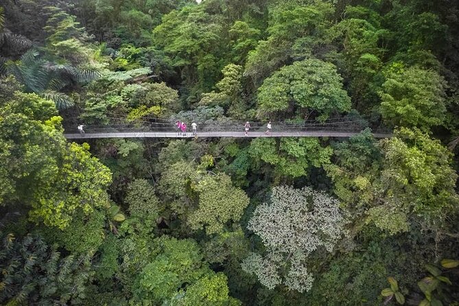 4-in-1 Arenal Hanging Bridges, La Fortuna Waterfall, Volcano Hike & Hot Springs - Cascading Beauty of La Fortuna Waterfall