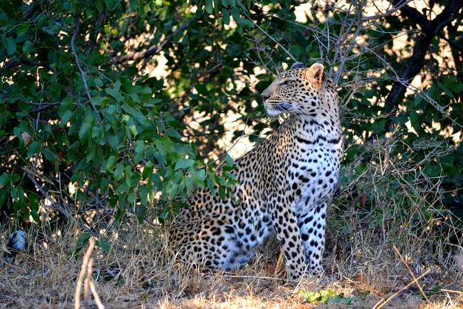 4 Night Kruger Safari and Blyde Canyon - Pickup and Meeting Details