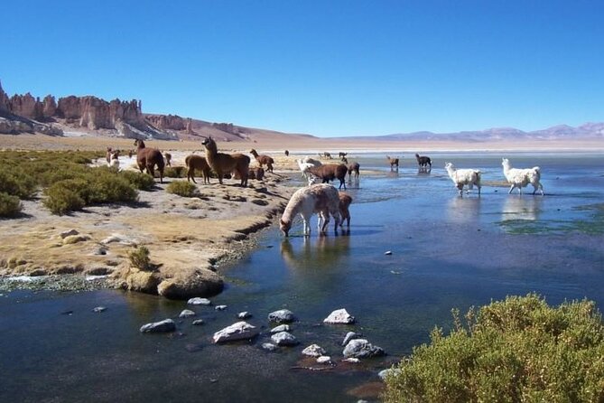 4 Tours to Discover Atacama (3 Days) - Itinerary Highlights