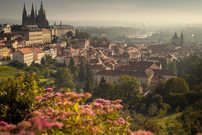 5 Countries in 9 Days: Prague, Vienna, Venice and Slovenia, Croatia - The Grandeur of Vienna