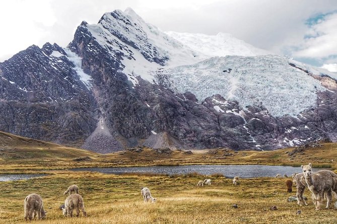 5-Day 4-Night Ausangate Trek From Cusco, Peru - Trek Inclusions