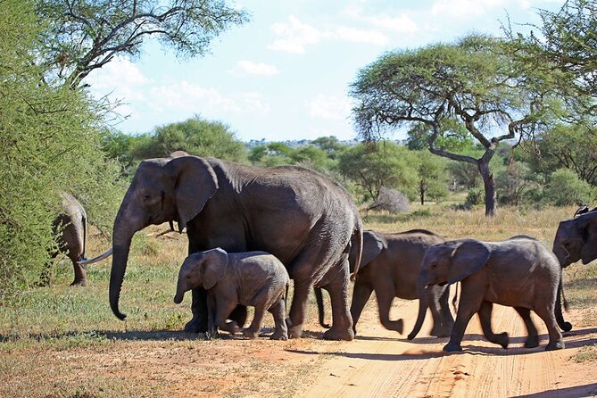 5 Day Garden Route Small Group Tour Fr CapeTown - Departs Mondays - Itinerary Highlights