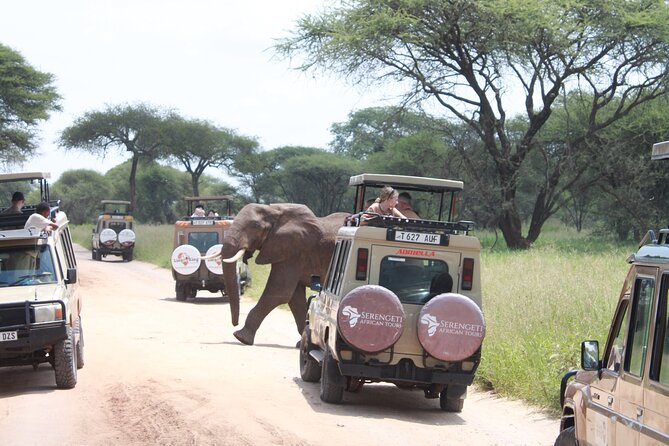 5 Day Mid Range Tanzania Safari - Accommodation Highlights