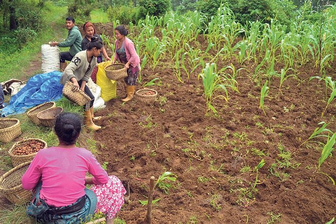 5-Day Private Farming Experience in Nayapul With Accommodation - Accommodation Details