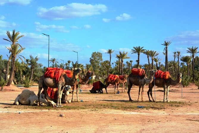 5 Day Private Morocco Tour From Casablanca - Pickup and Transportation
