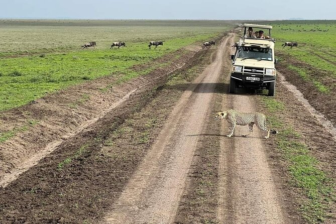 5-Day Tanzania Camping Safari - Pickup and Meeting Details