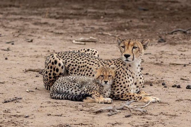 5 Days Luxury Lodge Safari Tour Tanzania - Accommodation Details