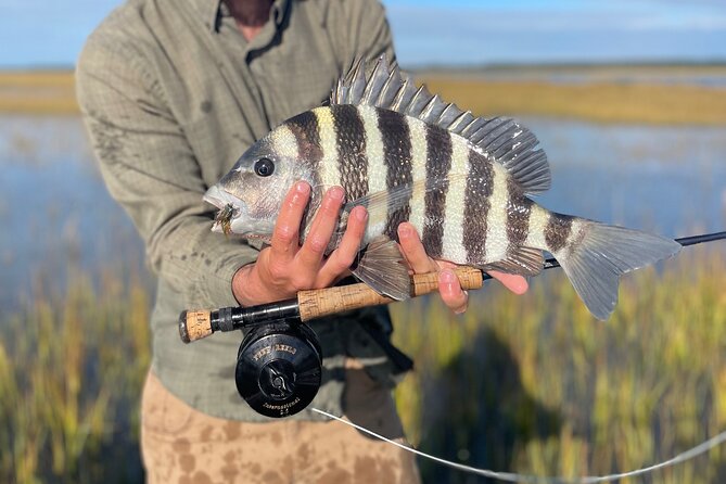 5 Hour Fishing Charter in Charleston Review - Inclusions and Amenities