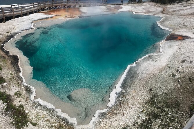 5 Person Full Day PRIVATE Yellowstone Tour- Picnic, Binoculars, Scope, Huge Van - Inclusions and Amenities