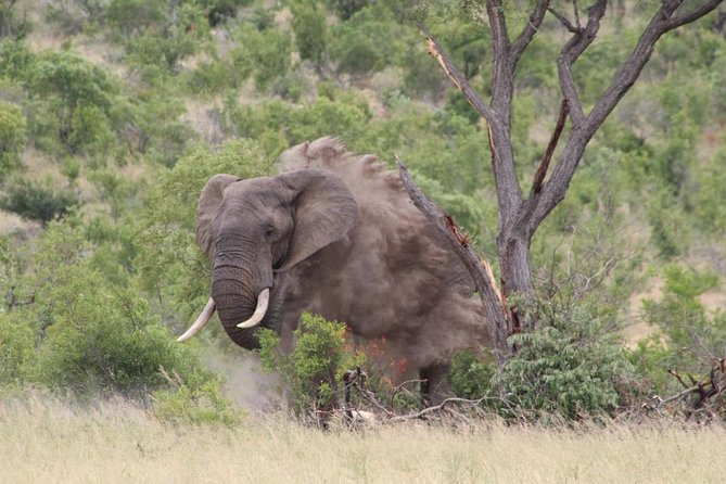 5Days Blyde River Canyon and Kruger National Park Overnight Tour and Safaris - Accommodation and Meals