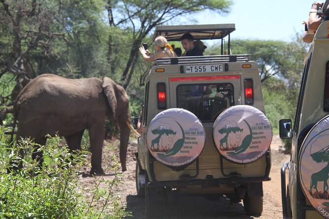 6-Day Big Five Magic Safari Tour - Pickup and Meeting Details