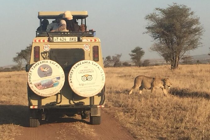 6 Day Group Camping Safari Tarangire Serengeti Ngorongoro Manyara - Wildlife Encounters
