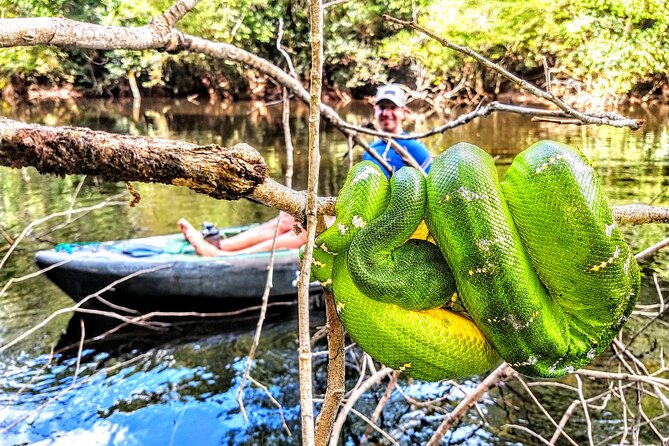 6-Day Guided Kayak Expedition in the Amazon - Pickup and Start Time